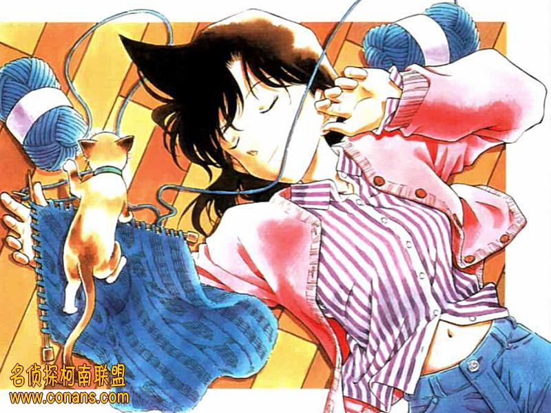 Otaku Gallery  / Anime e Manga / Detective Conan / Wallpapers / 069.jpg